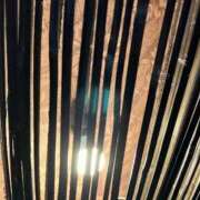 ヒメ日記 2025/08/08 12:03 投稿 ネネカ 千葉美女革命