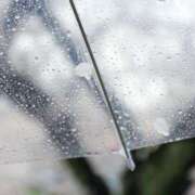 ヒメ日記 2025/08/11 15:41 投稿 ネネカ 千葉美女革命