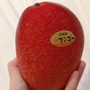 ヒメ日記 2025/08/12 12:09 投稿 ネネカ 千葉美女革命