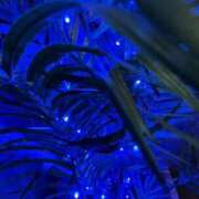 ヒメ日記 2025/08/14 08:11 投稿 ネネカ 千葉美女革命