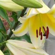 ヒメ日記 2025/08/22 12:50 投稿 ネネカ 千葉美女革命