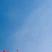 ヒメ日記 2025/09/23 10:11 投稿 ネネカ 千葉美女革命