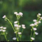 ヒメ日記 2025/09/29 08:16 投稿 ネネカ 千葉美女革命