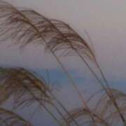 ヒメ日記 2025/10/07 08:11 投稿 ネネカ 千葉美女革命