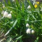 ヒメ日記 2025/10/09 08:02 投稿 ネネカ 千葉美女革命