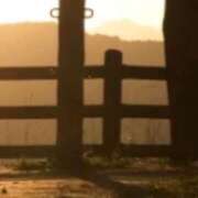 ヒメ日記 2025/10/20 12:18 投稿 ネネカ 千葉美女革命