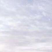 ヒメ日記 2025/10/21 08:13 投稿 ネネカ 千葉美女革命