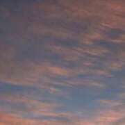 ヒメ日記 2025/10/28 12:03 投稿 ネネカ 千葉美女革命