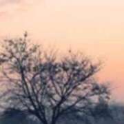 ヒメ日記 2025/10/30 12:10 投稿 ネネカ 千葉美女革命