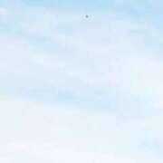 ヒメ日記 2025/11/02 12:02 投稿 ネネカ 千葉美女革命