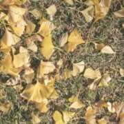 ヒメ日記 2025/11/04 08:01 投稿 ネネカ 千葉美女革命