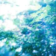 ヒメ日記 2025/11/14 08:11 投稿 ネネカ 千葉美女革命