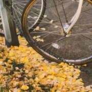 ヒメ日記 2025/12/06 08:01 投稿 ネネカ 千葉美女革命