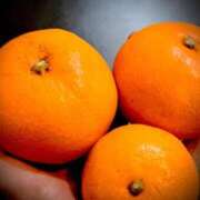 ヒメ日記 2025/12/09 08:16 投稿 ネネカ 千葉美女革命