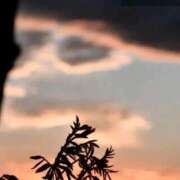 ヒメ日記 2025/12/09 12:16 投稿 ネネカ 千葉美女革命