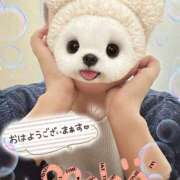 ヒメ日記 2025/08/12 07:01 投稿 まほ 西船人妻花壇