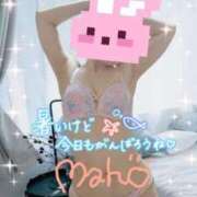 ヒメ日記 2025/08/30 12:03 投稿 まほ 西船人妻花壇