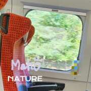 ヒメ日記 2025/09/19 22:36 投稿 まほ 西船人妻花壇