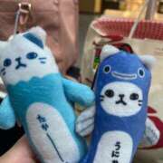 ヒメ日記 2025/09/21 11:20 投稿 あいな☆１８歳超可愛い妹ロリＡＦ PREMIUM萌え可愛いチョコレート～全てのステージで感動の体験を～