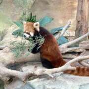 ヒメ日記 2025/10/21 15:55 投稿 安西 ひろみ プルプルオフィスディーバ