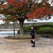 ヒメ日記 2025/11/23 12:05 投稿 永森　かな プルプル京都性感エステ　はんなり