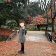 ヒメ日記 2025/12/15 12:01 投稿 永森　かな プルプル京都性感エステ　はんなり