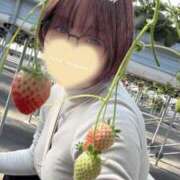 ヒメ日記 2026/01/23 12:00 投稿 永森　かな プルプル京都性感エステ　はんなり