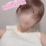 ヒメ日記 2025/10/16 18:21 投稿 ひめか 吉原ファーストレディ