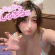 ひめか 本日おります〜！👸👑*ﾟ 吉原ファーストレディ