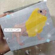 ヒメ日記 2025/12/07 16:16 投稿 ひめか 吉原ファーストレディ