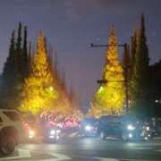 ヒメ日記 2025/11/30 20:28 投稿 由紀 出会い系人妻ネットワーク 新宿〜池袋編