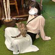 ヒメ日記 2025/10/11 21:37 投稿 こはる おじさま大好き素人オナクラ谷九店