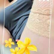 ヒメ日記 2025/08/26 00:19 投稿 小坂あい 五十路マダム 沼津店(カサブランカグループ)