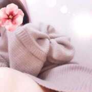 ヒメ日記 2026/02/01 09:03 投稿 小坂あい 五十路マダム 沼津店(カサブランカグループ)