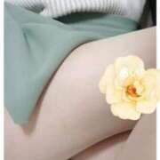 ヒメ日記 2026/02/02 09:21 投稿 小坂あい 五十路マダム 沼津店(カサブランカグループ)