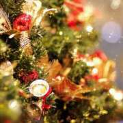 ヒメ日記 2025/12/08 05:55 投稿 吉野 ひより 千葉Grand Mrs.