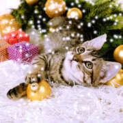 ヒメ日記 2025/12/10 07:42 投稿 吉野 ひより 千葉Grand Mrs.