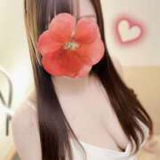 ヒメ日記 2025/12/29 13:23 投稿 吉野 ひより 千葉Grand Mrs.