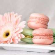 ヒメ日記 2026/01/29 05:42 投稿 吉野 ひより 千葉Grand Mrs.