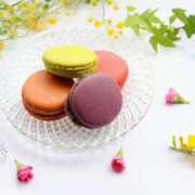 ヒメ日記 2026/02/01 06:53 投稿 吉野 ひより 千葉Grand Mrs.