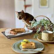 ヒメ日記 2026/02/12 06:15 投稿 吉野 ひより 千葉Grand Mrs.