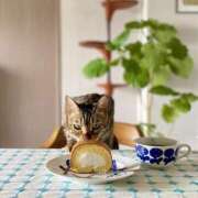 ヒメ日記 2026/02/21 05:18 投稿 吉野 ひより 千葉Grand Mrs.