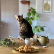 ヒメ日記 2026/02/22 06:09 投稿 吉野 ひより 千葉Grand Mrs.