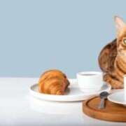 ヒメ日記 2026/02/23 06:46 投稿 吉野 ひより 千葉Grand Mrs.