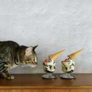 ヒメ日記 2026/02/24 06:04 投稿 吉野 ひより 千葉Grand Mrs.