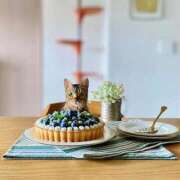 ヒメ日記 2026/02/26 07:26 投稿 吉野 ひより 千葉Grand Mrs.