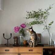 ヒメ日記 2026/02/28 05:48 投稿 吉野 ひより 千葉Grand Mrs.