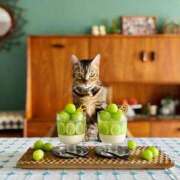 ヒメ日記 2026/03/01 07:00 投稿 吉野 ひより 千葉Grand Mrs.