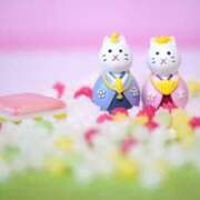 ヒメ日記 2026/03/04 05:35 投稿 吉野 ひより 千葉Grand Mrs.