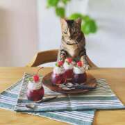 ヒメ日記 2026/03/05 08:23 投稿 吉野 ひより 千葉Grand Mrs.